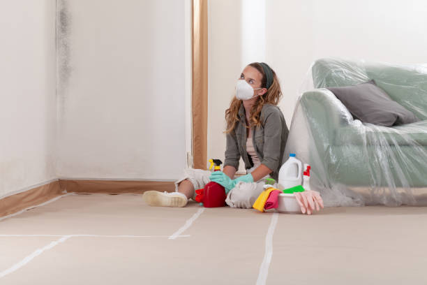 Reliable Mold Remediation contractor in Boston, MA by 24 Hour Mold Removal